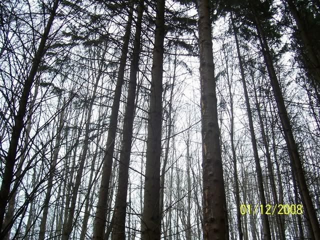 100_1528.jpg