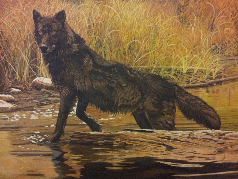 20120229_215335.jpg