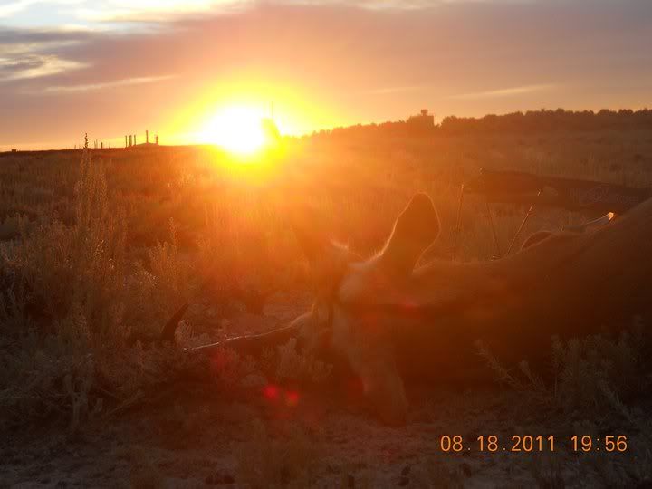 2011bucksunset.jpg