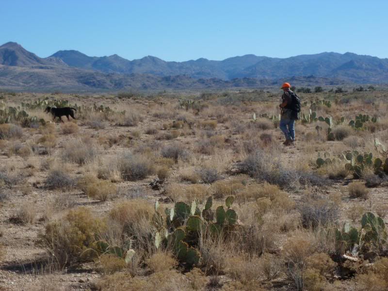 az11-13018.jpg