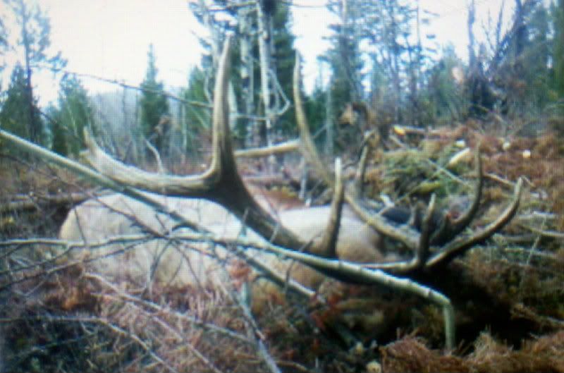 2012-10-21_13-27-25_920.jpg