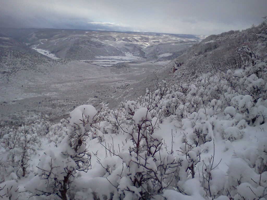 Fall2011037.jpg
