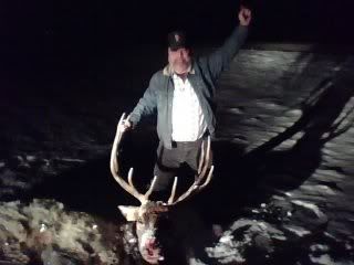 elk3.jpg