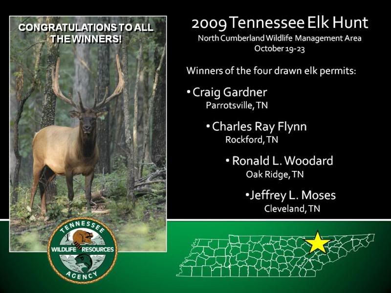 ElkWinners.jpg