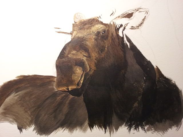 20121230_231714.jpg