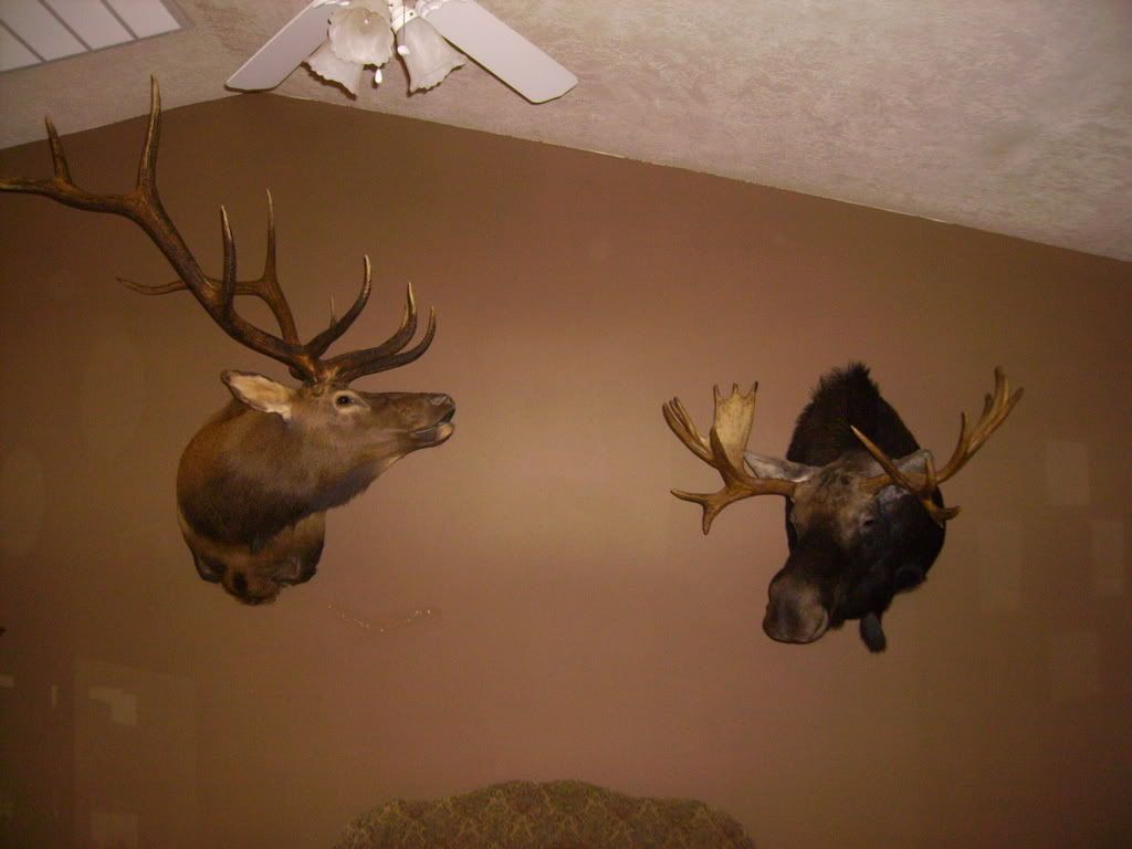 MooseHunting2007003.jpg