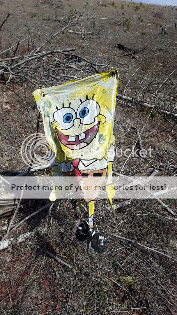 20160221_140030_zpse16s5tud.jpg