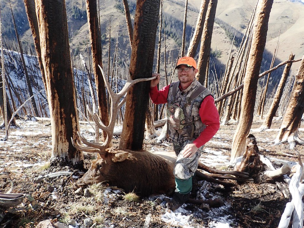2014_Wyoming_Elk_Zeke.jpg