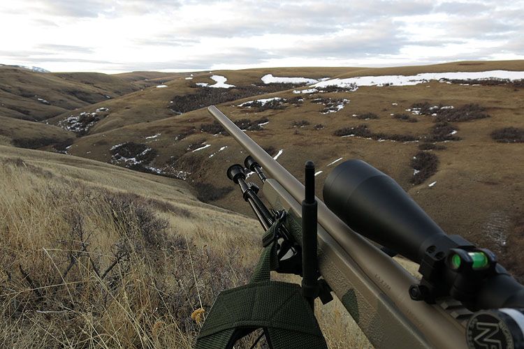 Len%20Backus%20rifle%2065-284_zps5cl3aqbd.jpg
