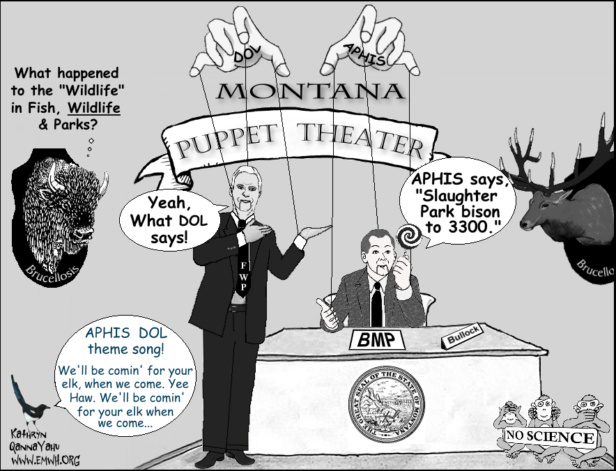 montana%20puppet%20theater.png