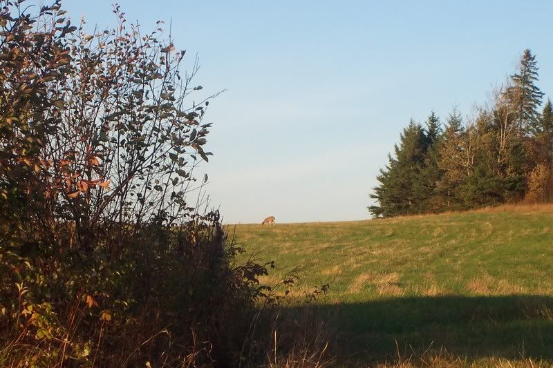 100_5183.jpg