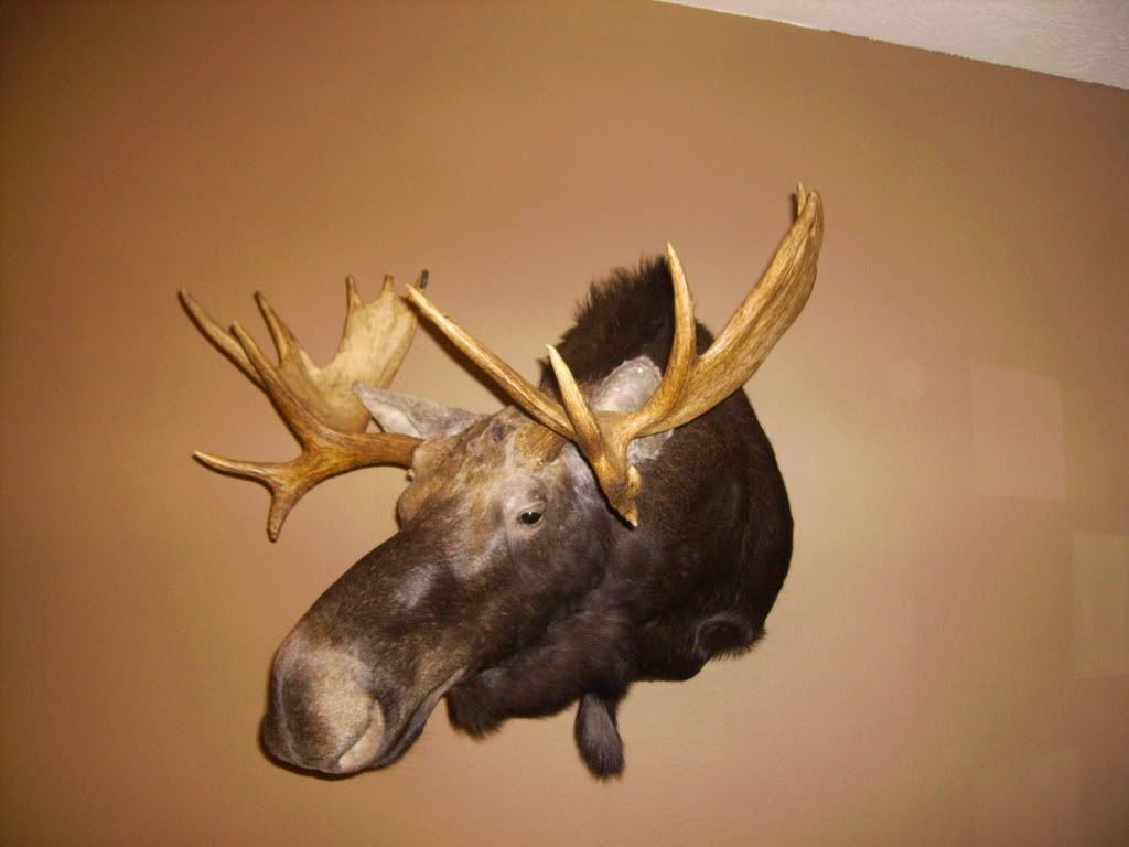 MooseHunting2007009.jpg