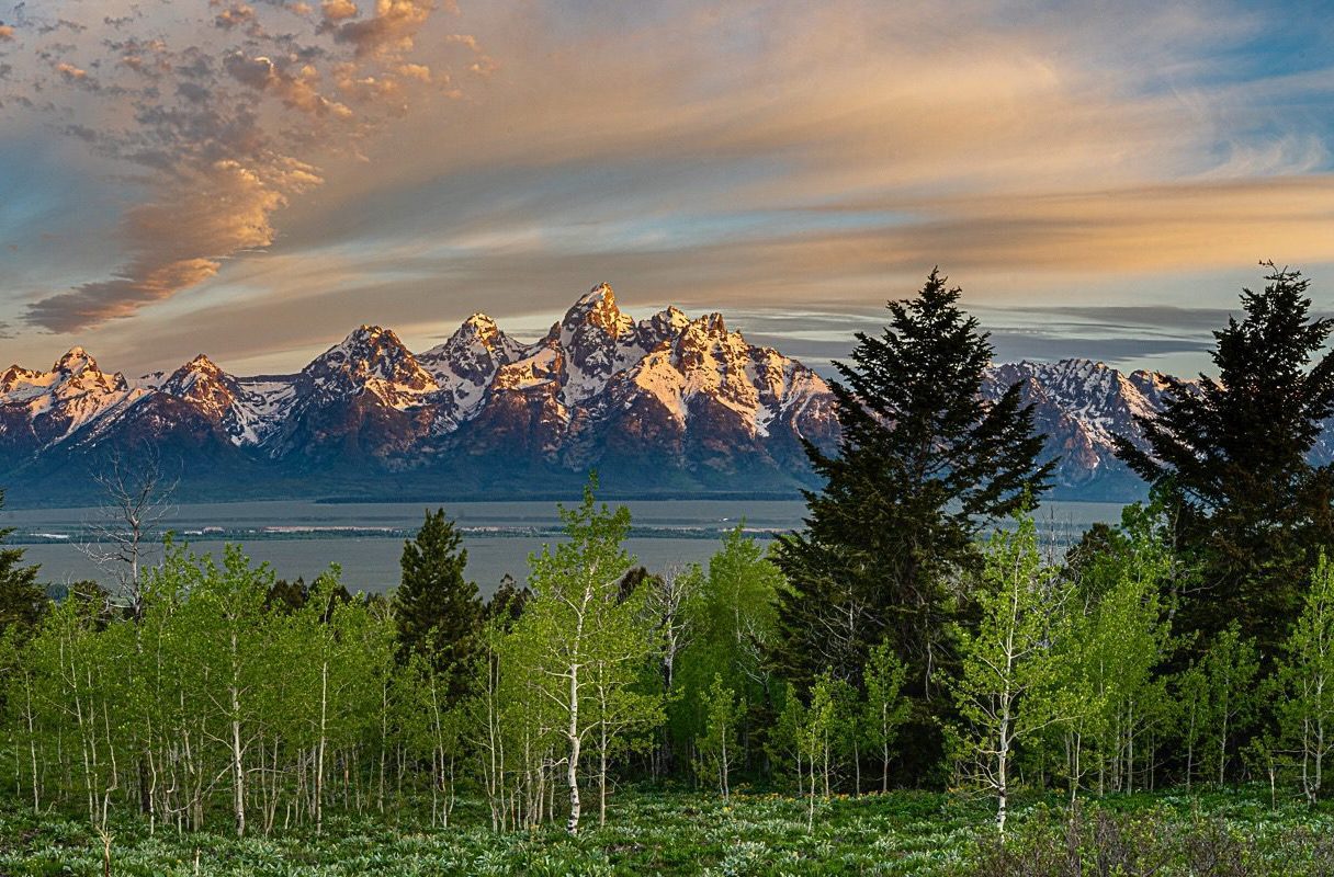 montanafreepress.org