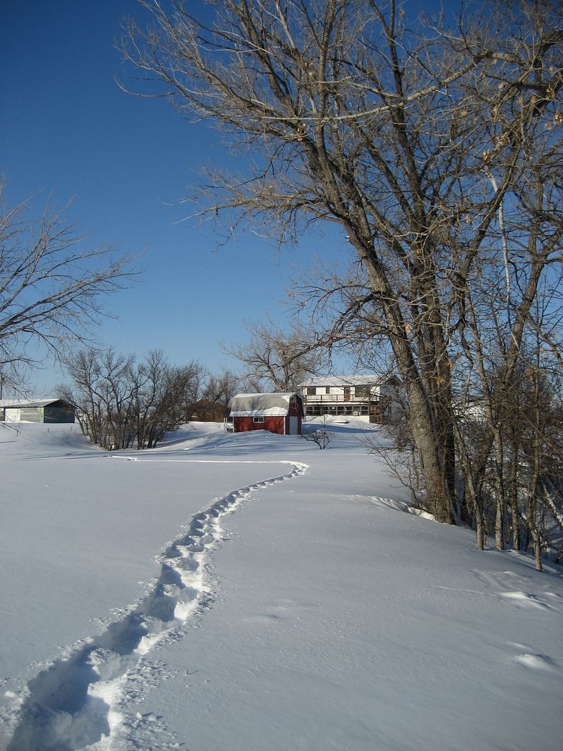 winter2011008.jpg