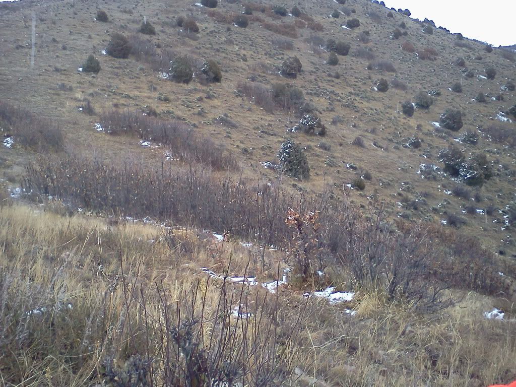 Fall2011024.jpg
