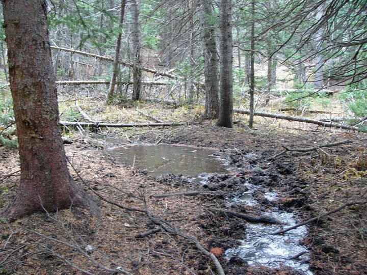 ElkWallow.jpg