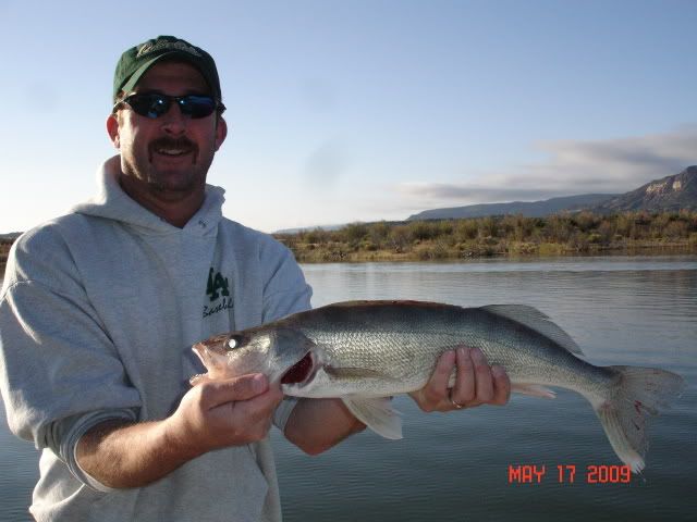 May17walleye001.jpg