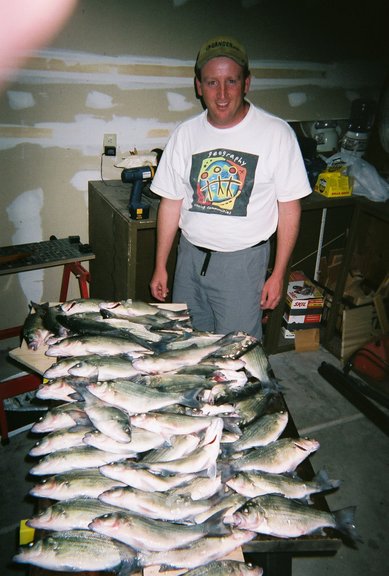 whitebass.jpg