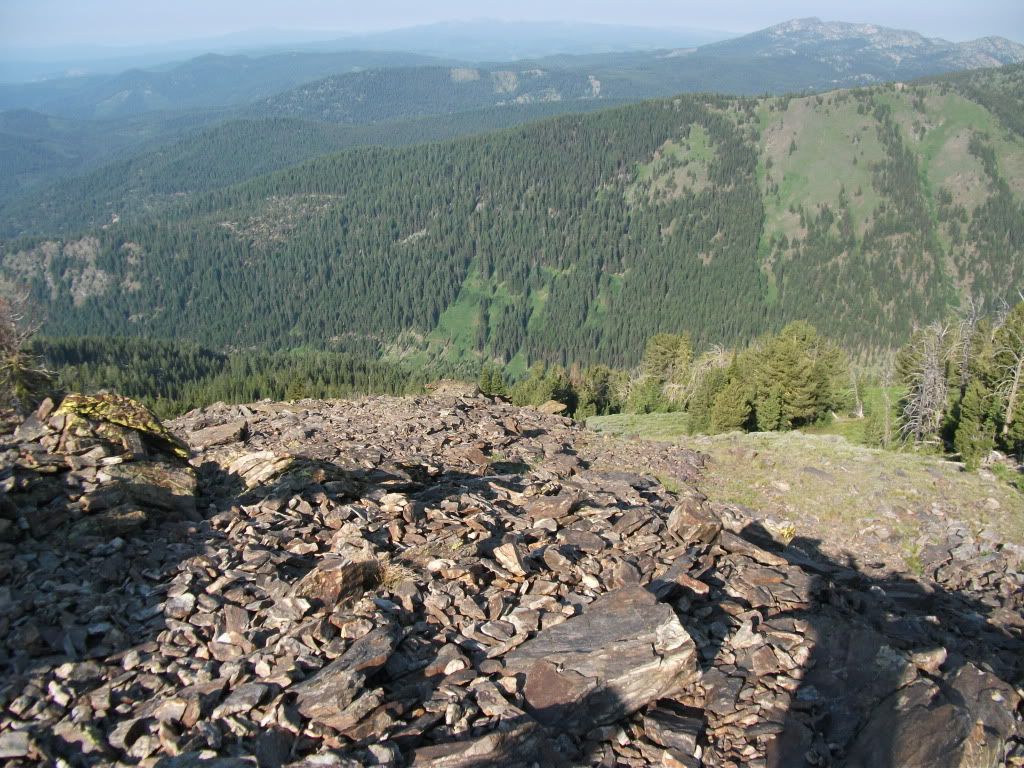 45241867.jpg