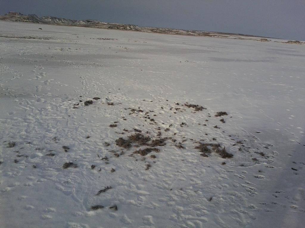 0123130900_zpsce76cfe5.jpg