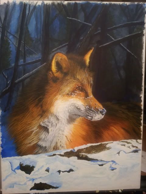 20130216_204136.jpg