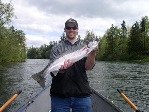 8LB-STEELHEAD.jpg