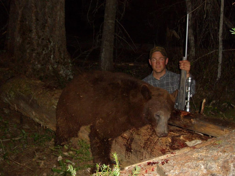 Bear.jpg