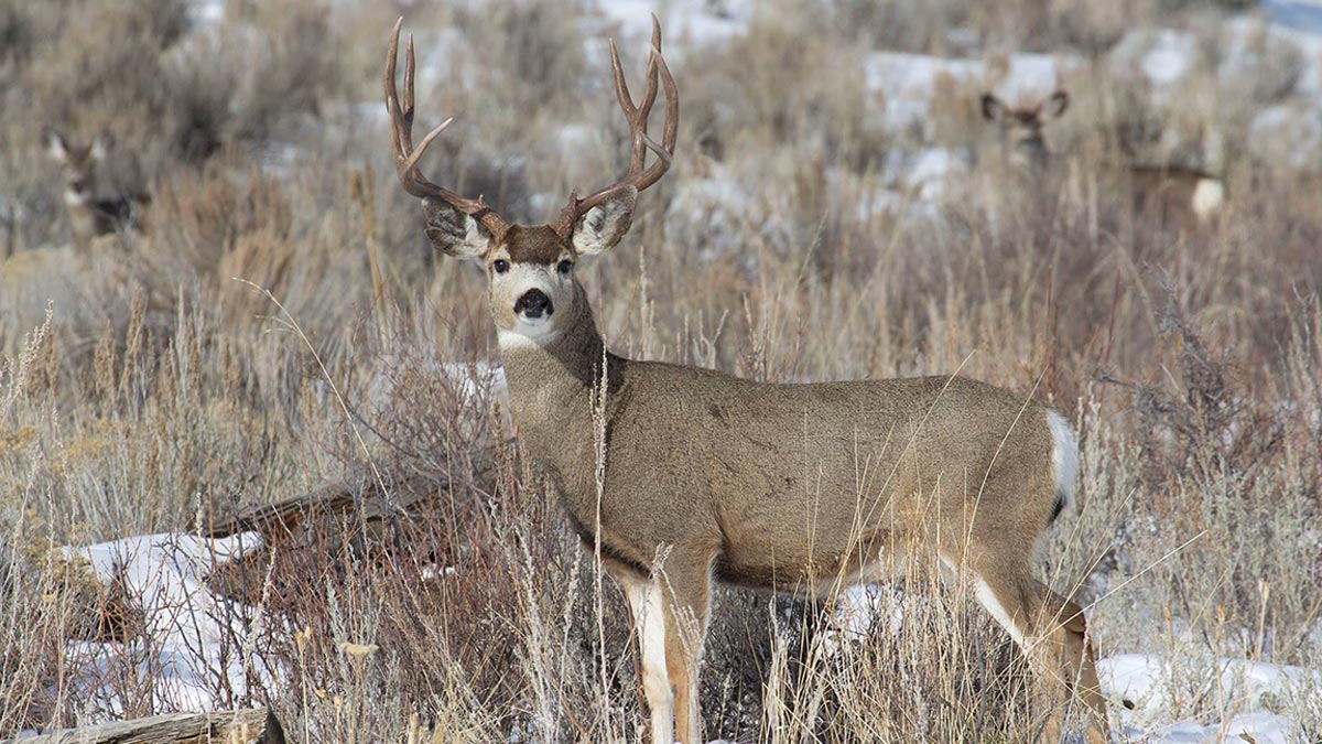www.rmef.org