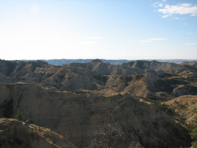 IMG_4627.JPG