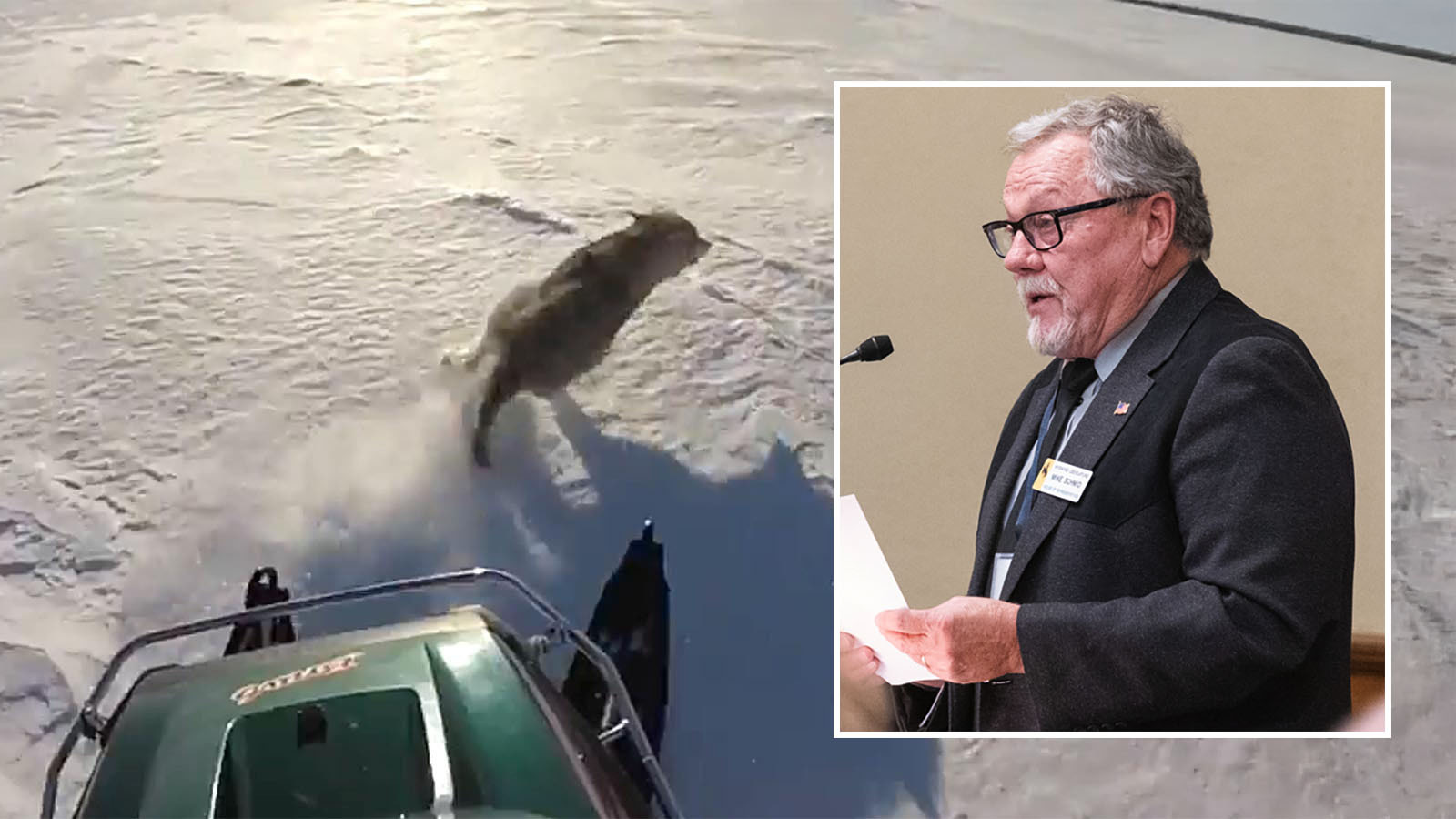 cowboystatedaily.com