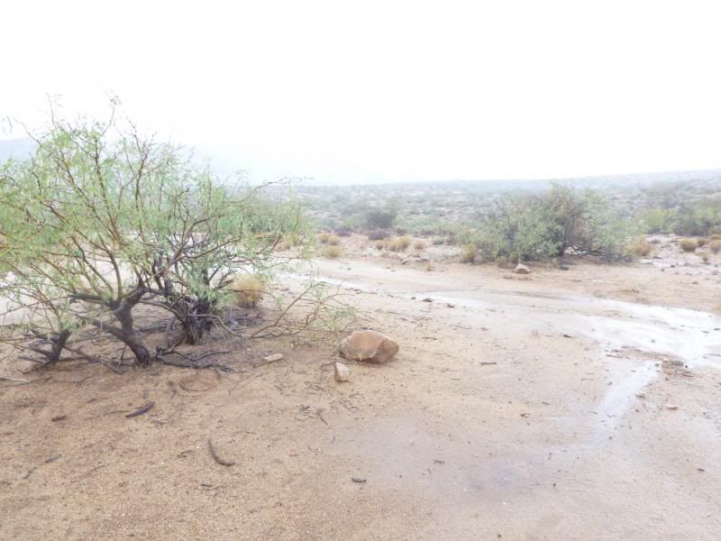 az11-12002.jpg