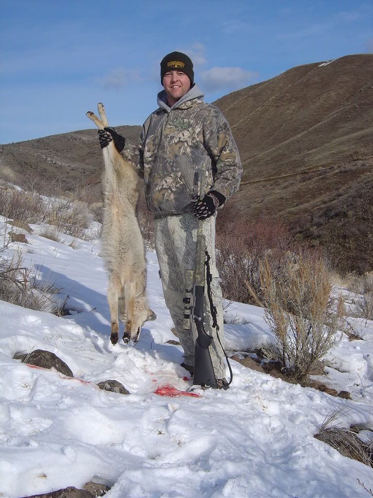 Coyotes08007.jpg