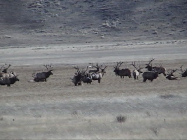 DSC00105.jpg
