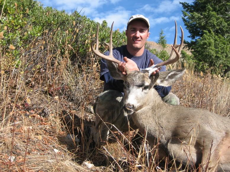 Marks2005IDMuleDeer06.jpg