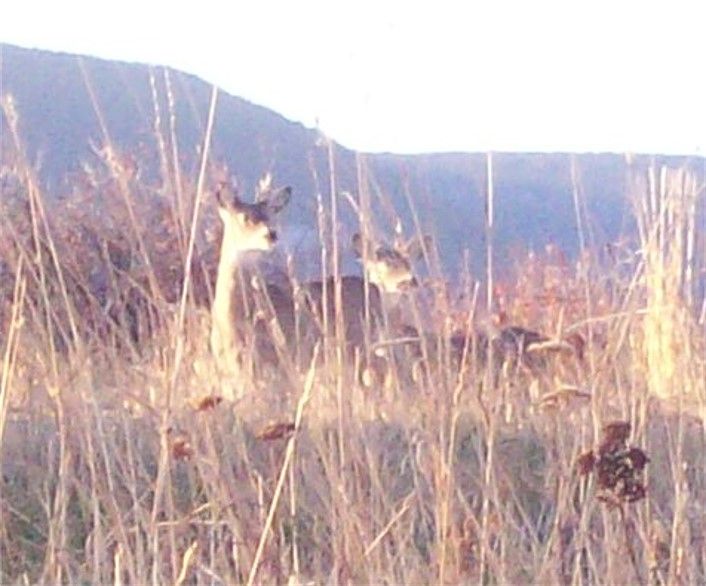 Copyof101_0499_zps813d7aeb.jpg