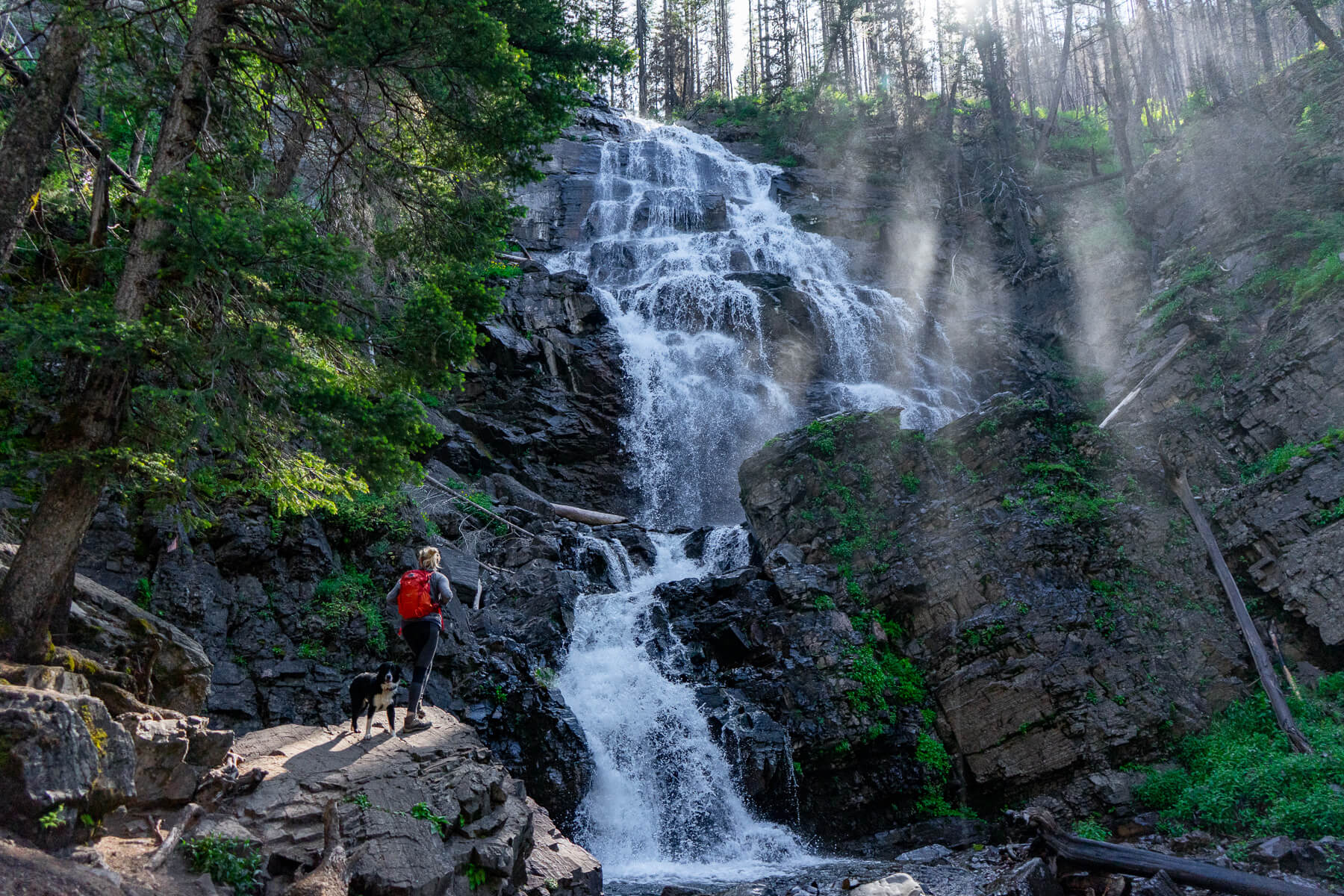 hike.wildmontana.org