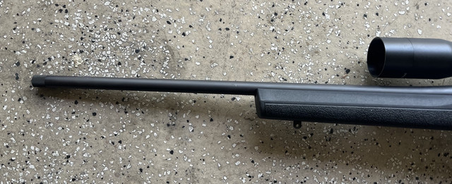 [Linked Image from i.ibb.co]