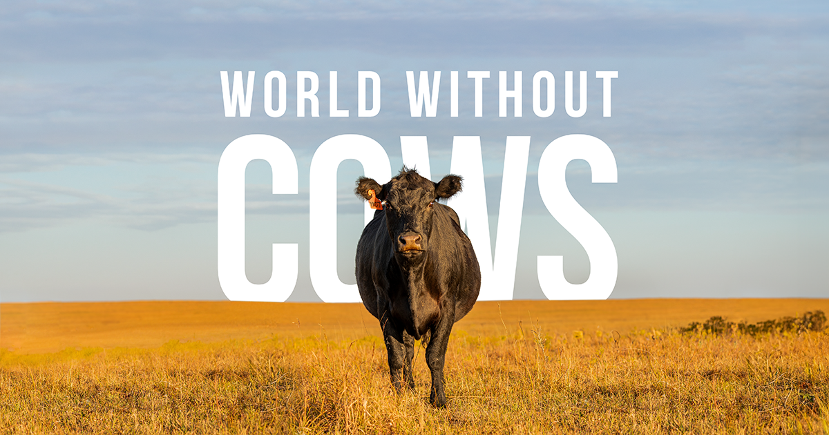 worldwithoutcows.com