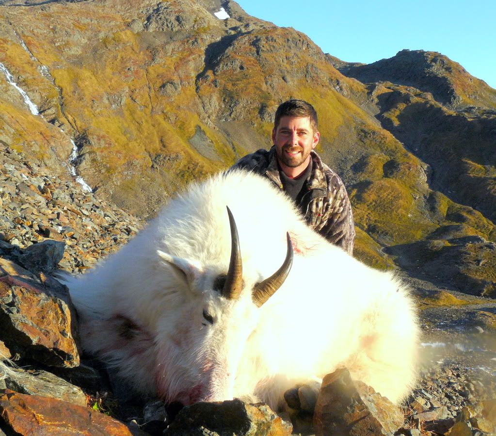 akgoat.jpg