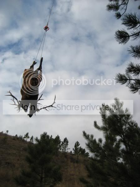 ElkHunt08039.jpg
