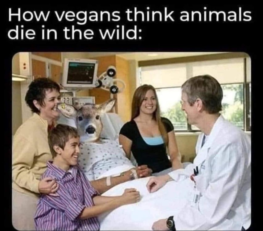1637706846595-png.70287