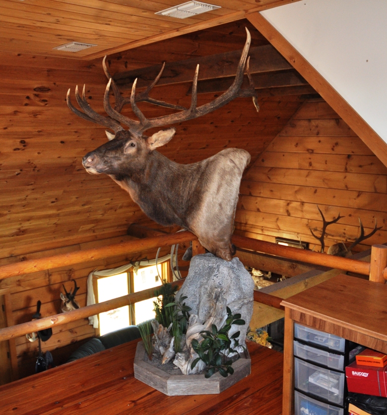 elk_house1.jpg