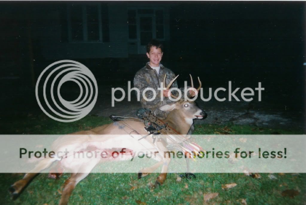 47-pointer2withbow11-1-97.jpg