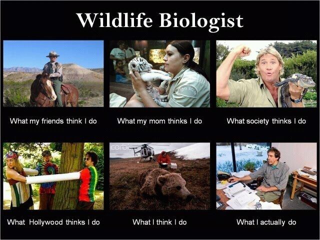 WildlifeBio.jpg