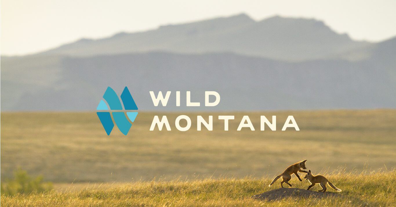 wildmontana.org