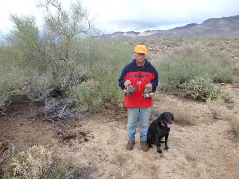 az11-12006.jpg