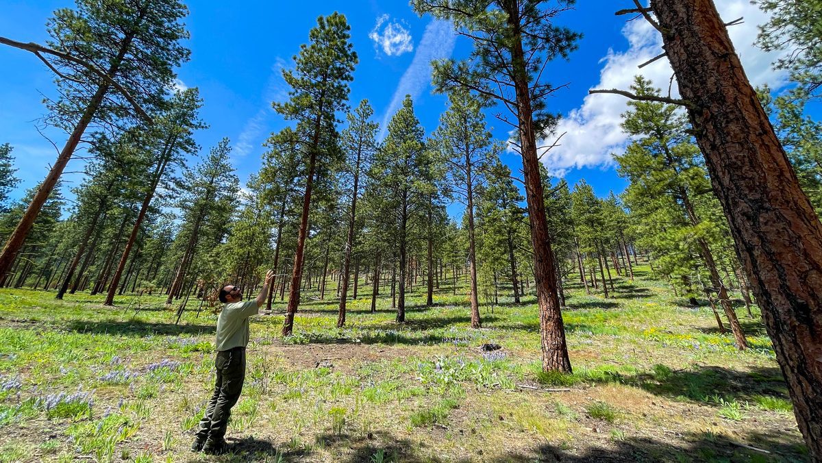 montanafreepress.org