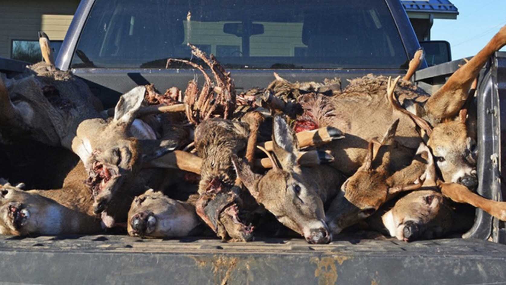 cowboystatedaily.com