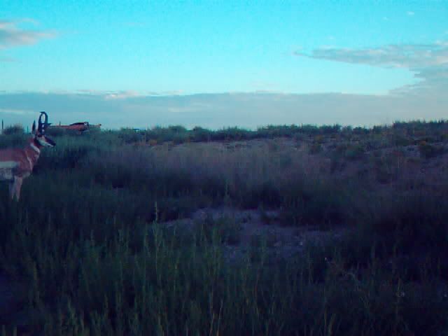 SUNP0055.jpg