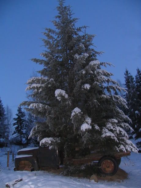 LoggingTruck002.jpg